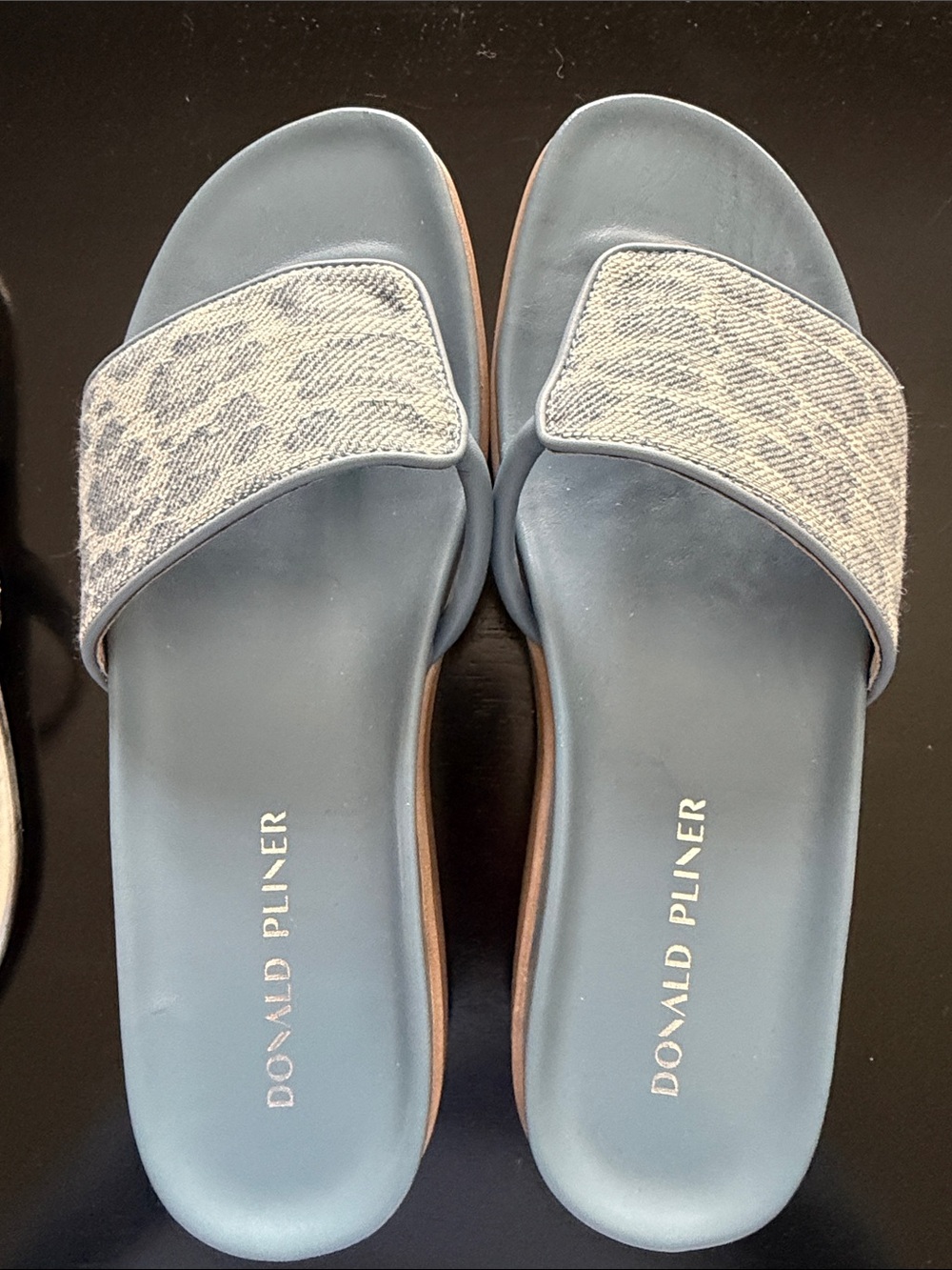 Donald J. Pliner Slate Blue Slide Sandals with Patterned Strap